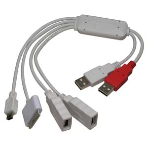 4 Port USB2.0 Squid Hub, iPod/Mini5/A-Female x 2